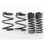 RS-R 12+ Subaru Forester (SJG) Down Sus Springs